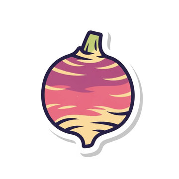 Colorful illustration of a radish vegetable.