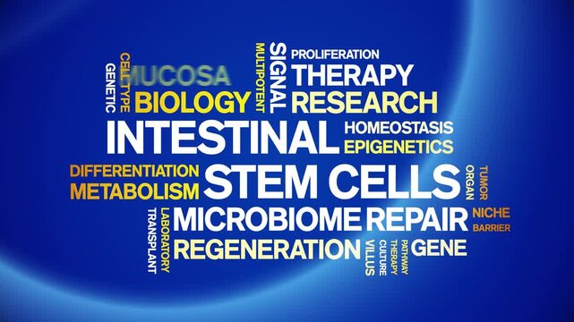 intestinal Stem Cells animated word cloud-gross domestic product animation tag kinetic typography seamless loop.