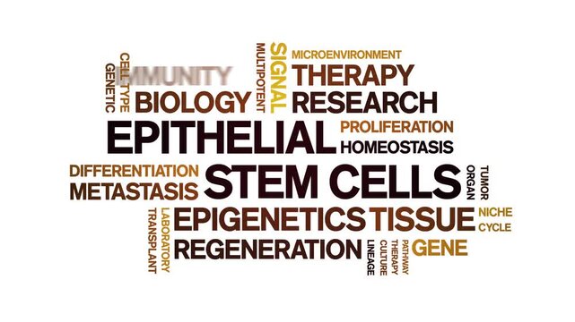 Epithelial Stem Cells animated word cloud-gross domestic product animation tag kinetic typography seamless loop.