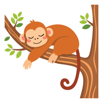Cartoon monkey sleeping peacefully on a tree branch isolated