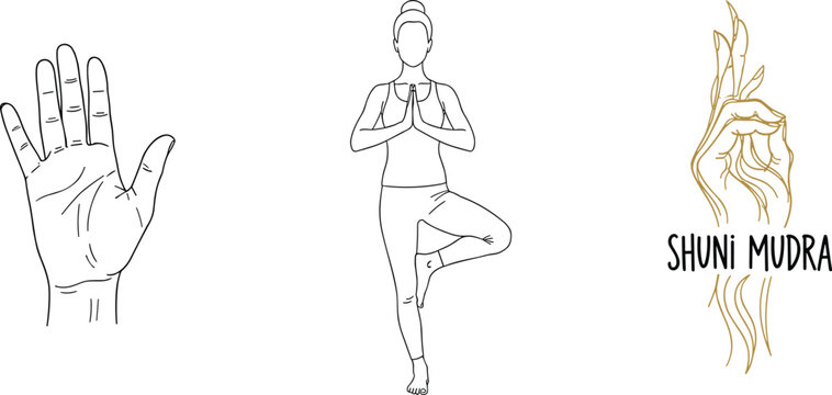 Yoga Outline Vector Set With Open Palm Hand Tree Pose Vrksasana And Golden Shuni Mudra Gesture On White Background