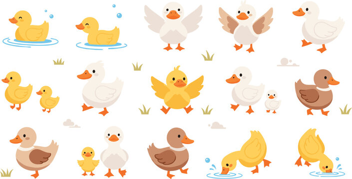 Cute Duck Cartoon Character Vector Set with Swimming, Walking, Flying Poses, Ducklings, Farm Animal Scenes, and Adorable Waterfowl Illustrations for Kids and Nursery Designs.