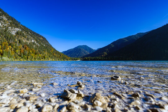 Plansee