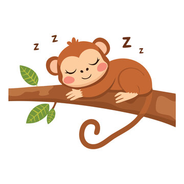 Cartoon monkey sleeping peacefully on tree branch isolated white background