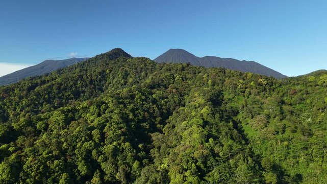 Drone footage shows green forest hills with mountains visible in the background on a clear day. The majestic Mount Gede, Pangrango National Park, Bogor.