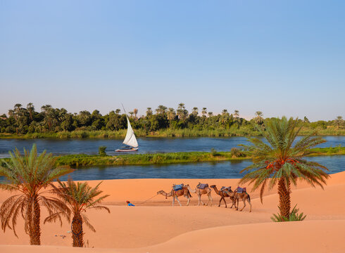 Beautiful Nile scenery with traditional Felluca sailing boat in the Nile - Egypt