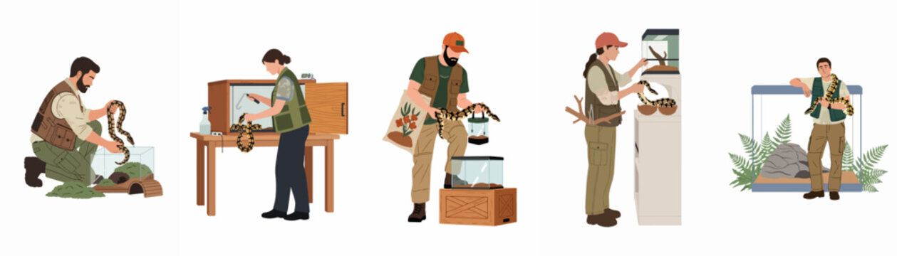 Set of professional herpetologists and hobbyists caring for pet pythons, cleaning terrariums, and handling snakes in a variety of indoor settings.