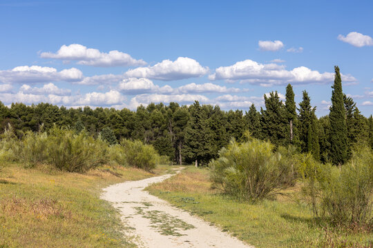 Field in Getafe, Madrid