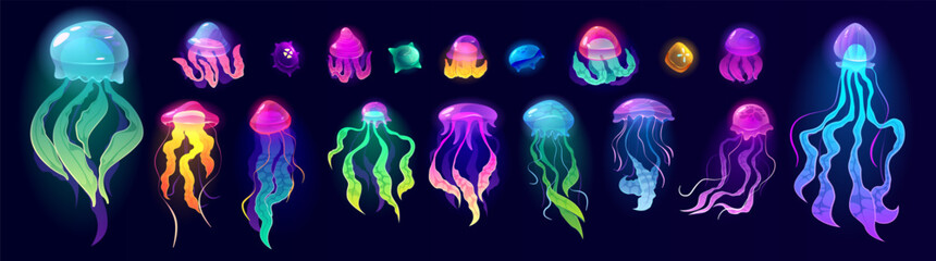 Jellyfish underwater animals, colorful jelly fish © Cahya