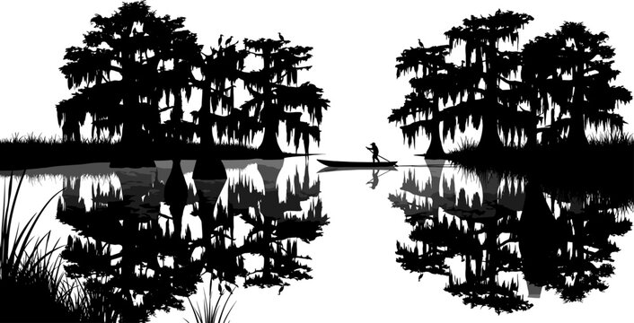 Person paddling a boat in a cypress swamp with reflections silhouette