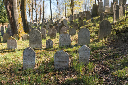 Old Jewish Cemetery in Poln&aacute;, Czech Republic
