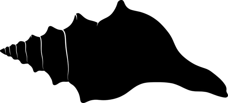 Spiral conch sea shell silhouette from a side angle