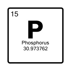 Obraz premium Phosphorus Element Periodic Table