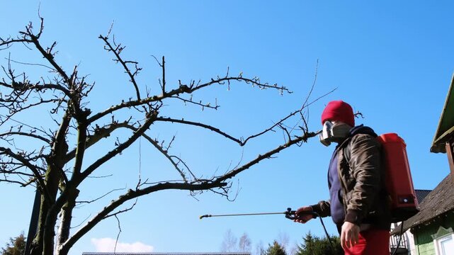 Worker spraying pesticide on a backyard for pest control, close-up, handles orchard. Gardening care work season. Early spring treatment of fruit trees, fungicide. Protecting the garden from diseases.