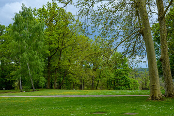 Naklejka premium Port Royal des Champs,