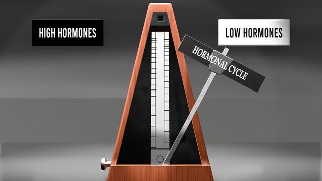Hormonal cycle cycles between high hormones and low hormones. Visualizing a pattern of hormonal cycle that swings between extremities: high hormones and low hormones. Made by humans for humans.