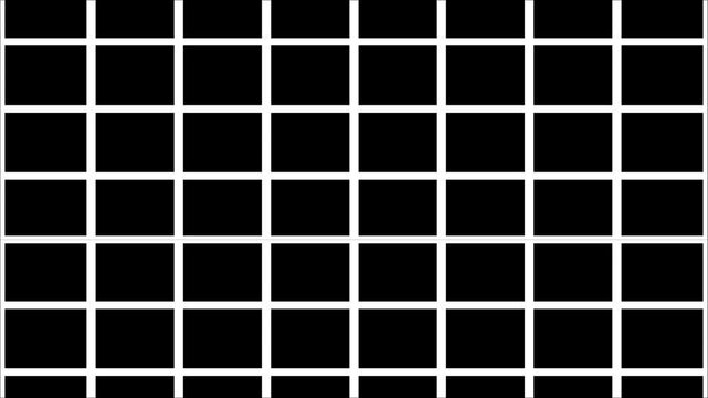 Minimalist white  grid pattern on black abstract geometric motion overlay lines background,