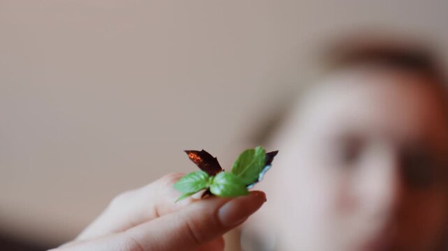 Fingertip holding tiny mint sprig, blurred person in background inspecting herb, subtle bokeh and warm indoor light, focused tasting gesture with modern lifestyle vibe and delicate composition