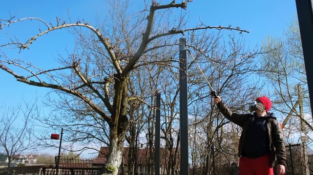 Worker spraying pesticide on a backyard for pest control, close-up, handles orchard. Gardening care work season. Early spring treatment of fruit trees, fungicide. Protecting the garden from diseases.