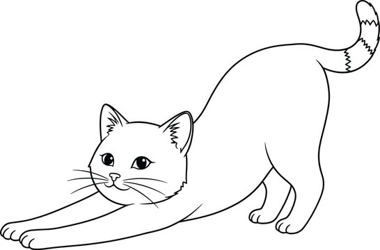 Stretching cat sketch a graceful feline in mid stretch pose