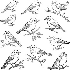 Fototapeta premium Hand drawn birds sketch set vector illustration, collection of small perched birds on branches for nature design