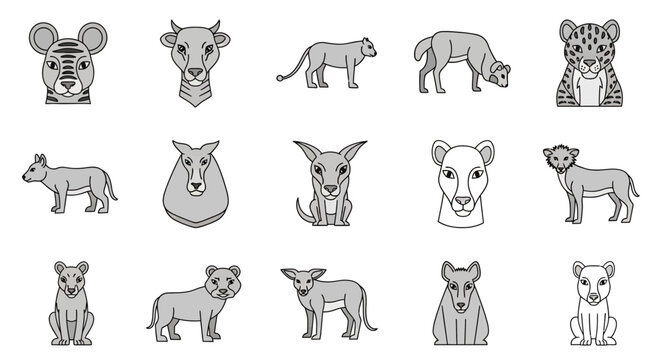 Various Cartoon Kangaroo and Koala Animals.