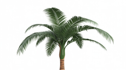 Obraz premium Close-up of tall green palm tree with lush fronds standing upright Vector