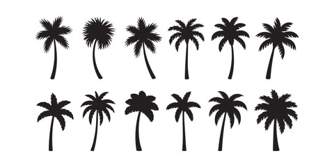 A collection of various black palm tree silhouettes stands tall against a clean white background © BULBUL ISLAM