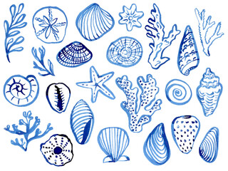 Hand drawn seashells. Blue linear art shells, drawn in quick sketch technique. Use as print, poster, tattoo, label, logo, illustration, sign for invitation, greeting card, packaging design, textile. © daria