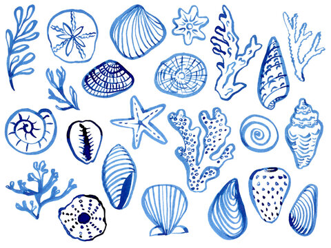 Hand drawn seashells. Blue linear art shells, drawn in quick sketch technique.
Use as print, poster, tattoo, label, logo, illustration, sign for invitation, greeting card, packaging design, textile.