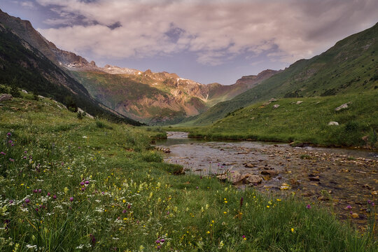 Valle de Otal y arroyo de monta&ntilde;a con flores silvestres, Pirineo Aragon&eacute;s