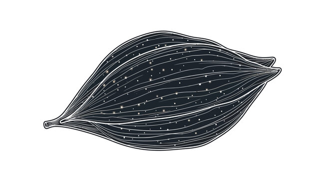 Detailed view of a leaf.
