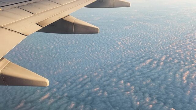 Airplane wing above a textured blanket of altocumulus clouds stretching to the horizon, warm sunlight reflecting on the wing during daytime airline travel from window seat