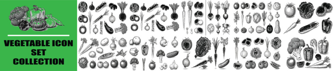 Vintage vegetable icon set collection, hand drawn sketch style organic food illustrations, rustic black and white garden produce vector graphics © edit