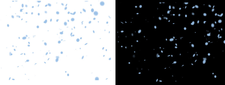 Scattered Light Blue Particles Dots on White and Glowing on Black Background Abstract Texture