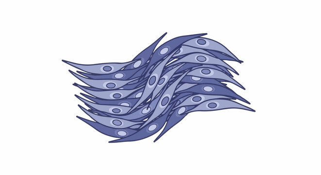 A cluster of elongated cells with nuclei forms a fluid, organic shape