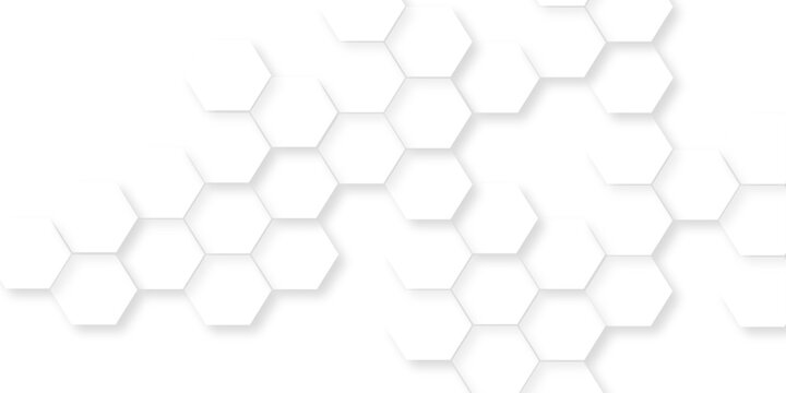  soft white background beautiful geometric pattern white gray hexagonal, abstract white vector wallpaper with hexagon grid,  seamless pattern of black hexagon grid line.