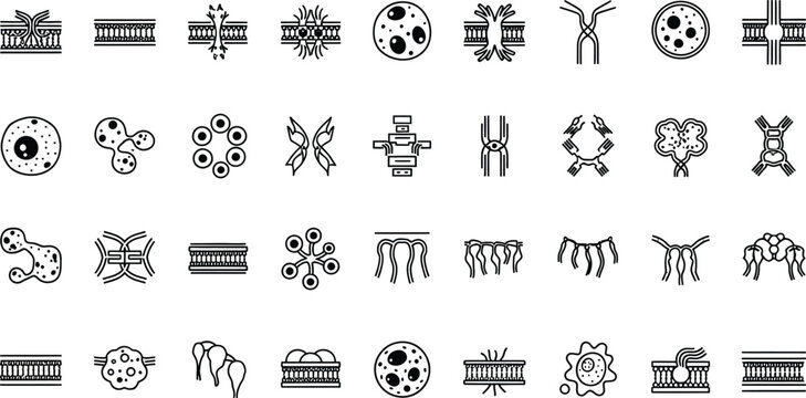 Biological cellular structures and molecular anatomy are represented by this set of intricate black and white vector icons suitable for academic charts.