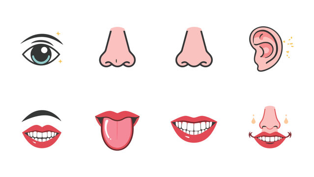 Sensory Anatomy: A detailed illustration showcasing the eye, nose, ear, mouth, and tongue, highlighting the beauty and complexity of human sensory organs. 