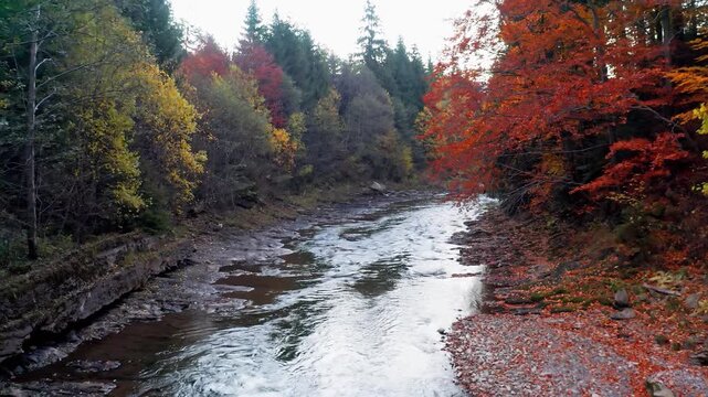 River rapids near mountain foothill with terracotta forests