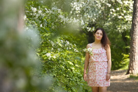 Portrait of a young woman in a spring park. A beautiful woman stands near a blossoming tree. 