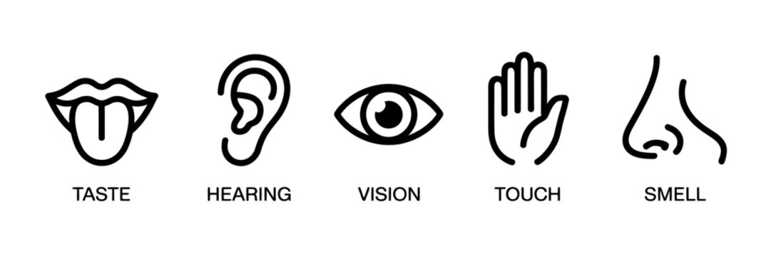 Line icons of human senses including taste hearing vision touch smell  human body parts