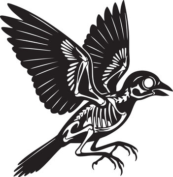 Silhouette of a flying bird skeleton with black and white, wing bone