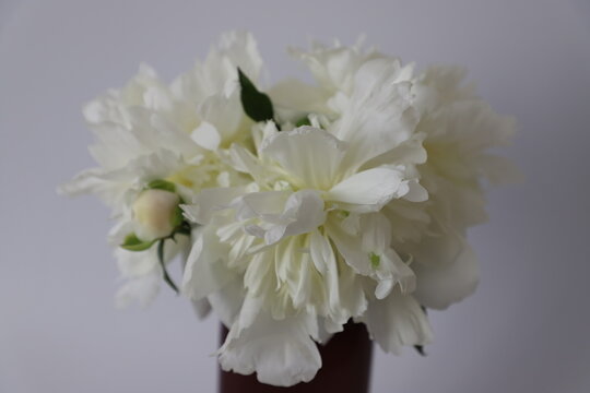 bouquet of pions