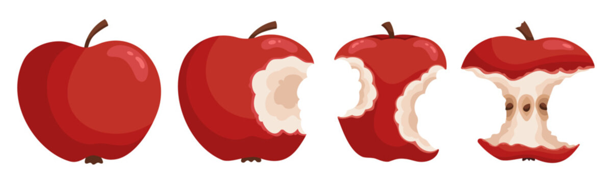 Juicy and fresh red apple collection. Fresh summer fruit illustration isolated on white background. Natural organic food. Perfect for food design, packaging, menu, healthy lifestyle themes.