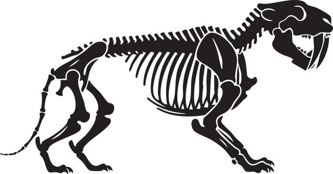 Saber-toothed tiger skeleton black silhouette scientific illustration