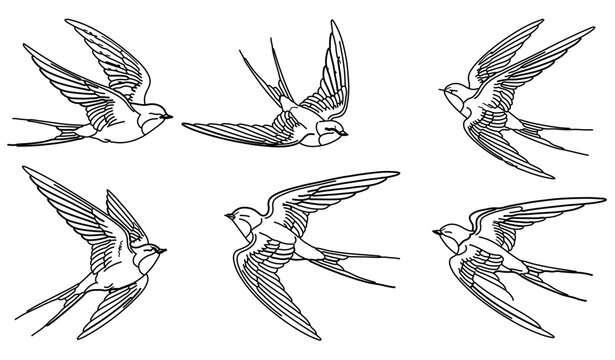 flying swallow birds hand drawn sketches for tattoo and nature art minimalist sparrow bird line art collection for spring season