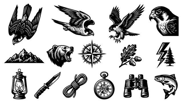 Outdoor Adventure and Wildlife Vintage Engraving Line Art Icons Set: Falcons, Bear, Mountains, Nature Elements
