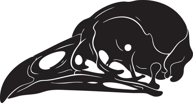 Bird skull silhouette with bone structure skeleton prehistoric
