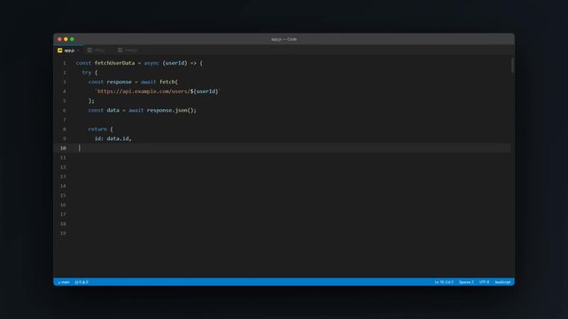 JavaScript Programming Code Editor Window Showing Async Fetch Function on Dark Background